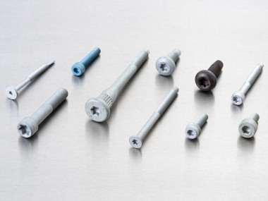 assorted coated metal recessed head screws