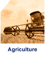 agriculture